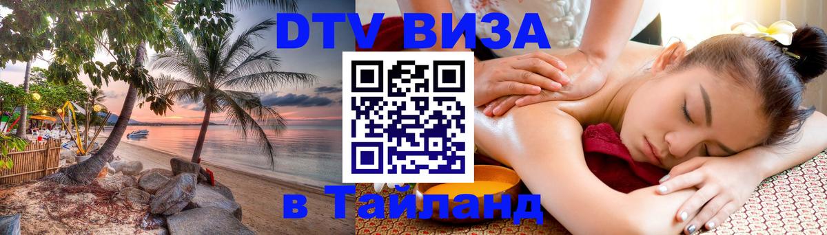 Оформление DTV визы под ключ: стоимость и тарифы, только загранпаспорт - Саранск 